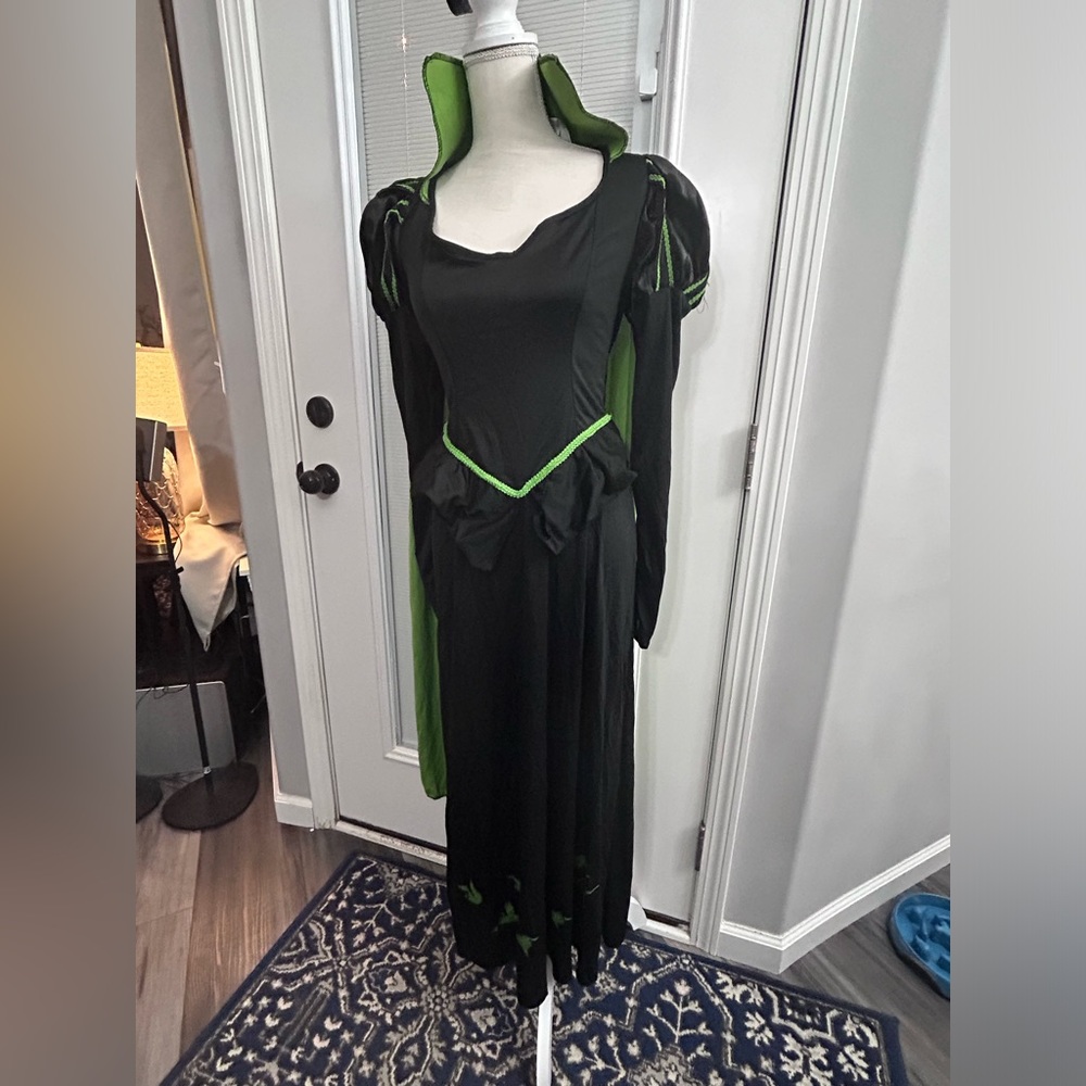 Costume Wizard Of Oz 75th Anniversary Edition Adult Wicked Witch Dress
